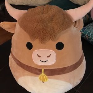 Carlton the highland cow